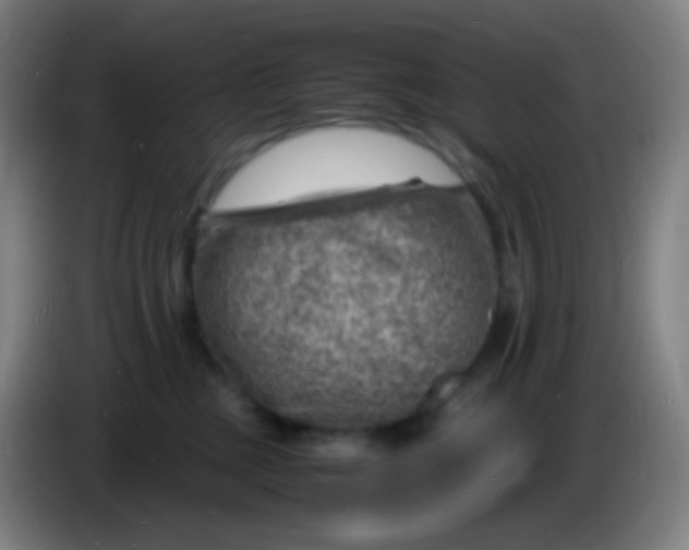 X0000085290377200703301943