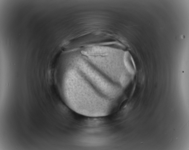 X0000085290378200703301943