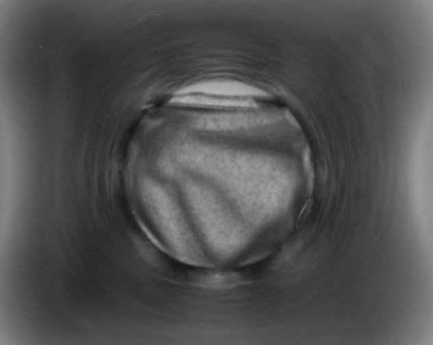 X0000085290379200703301943
