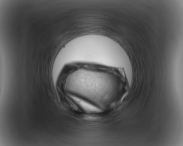 X0000085290380200703301943