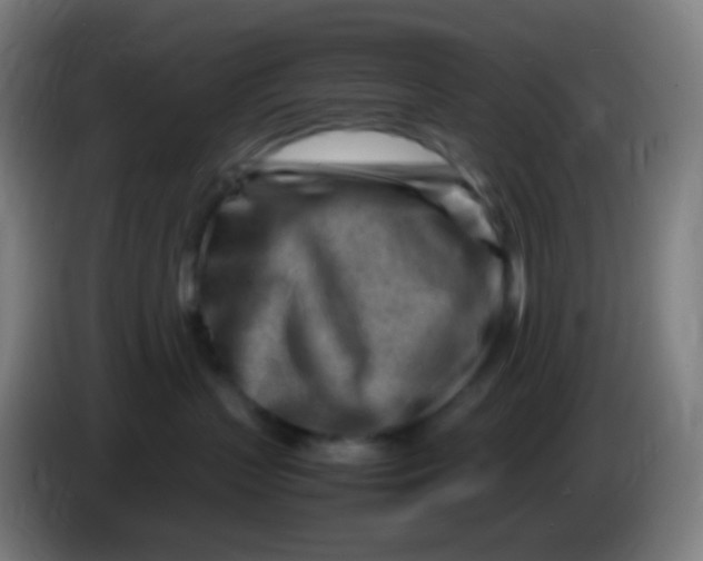 X0000085290383200703301943