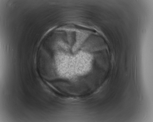 X0000085290386200703301943