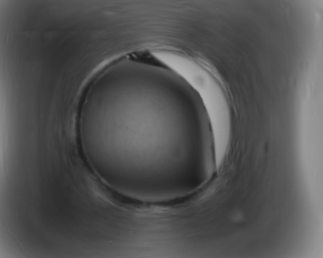 X0000085290387200703301943