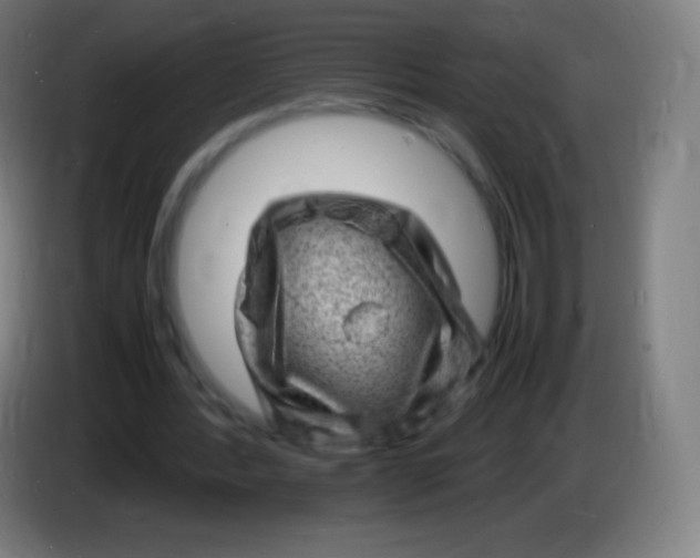 X0000085290388200703301943