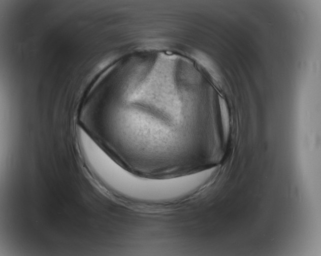 X0000085290389200703301943