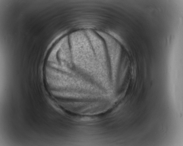 X0000085290390200703301942
