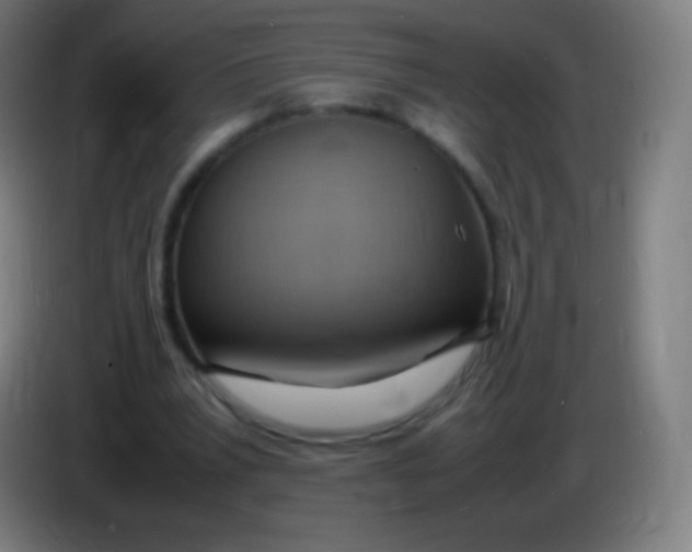 X0000085290391200703301942