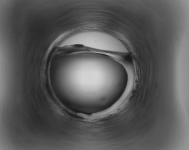 X0000085290392200703301942