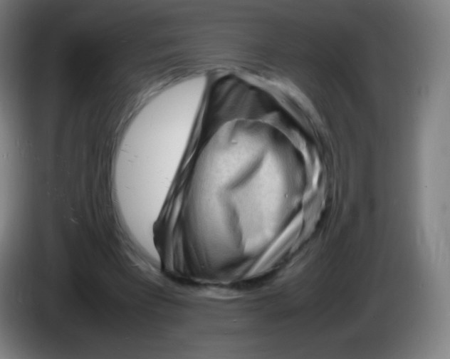 X0000085290393200703301942