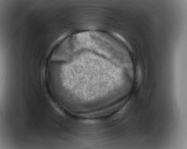 X0000085290394200703301942
