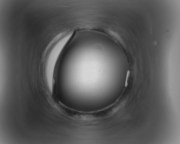 X0000085290395200703301942