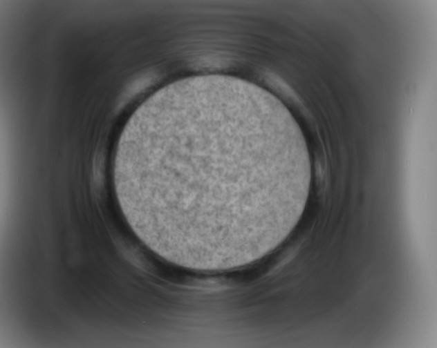 X0000085290396200703301942