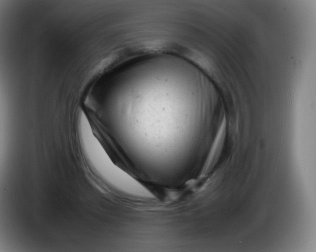 X0000085290397200703301942