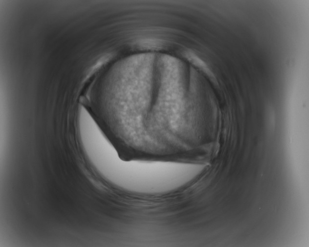 X0000085290398200703301942