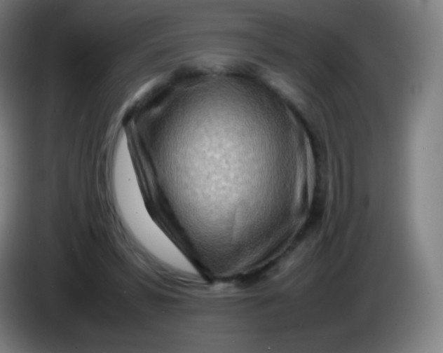 X0000085290399200703301942