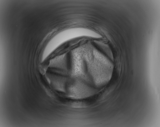 X0000085290400200703301942