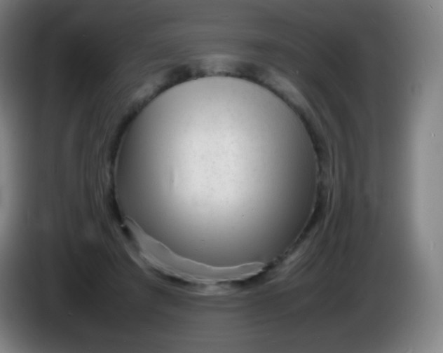 X0000085290401200703301942