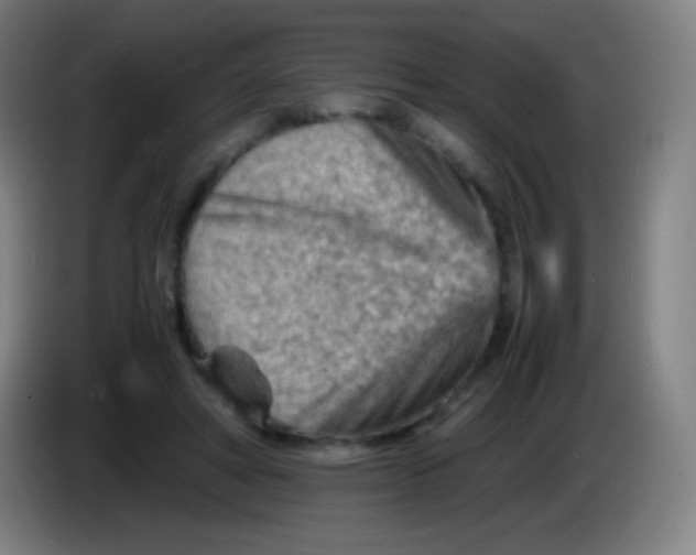 X0000085290402200703301942