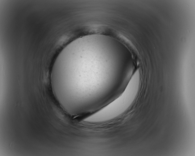 X0000085290403200703301942