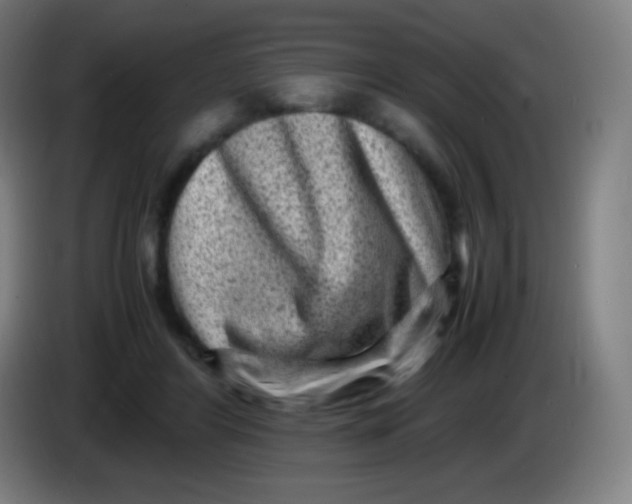 X0000085290404200703301942