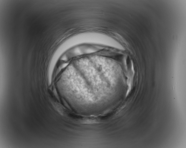 X0000085290405200703301942