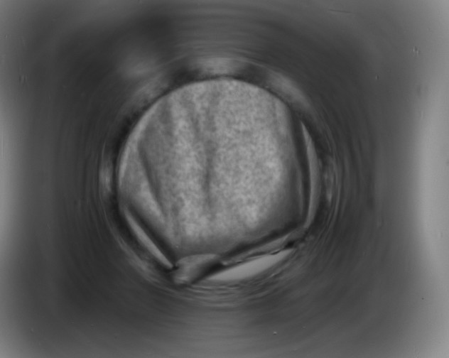 X0000085290406200703301942
