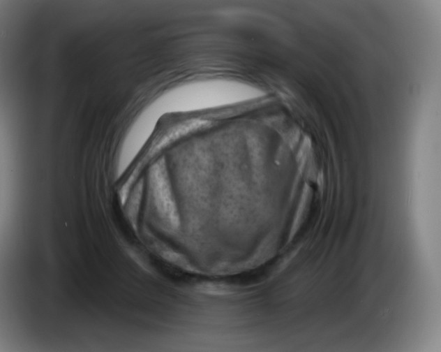 X0000085290408200703301942