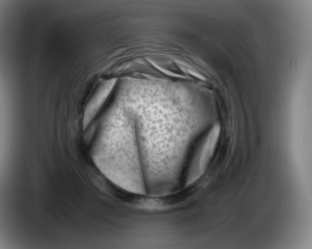 X0000085290409200703301942