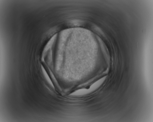 X0000085290410200703301942
