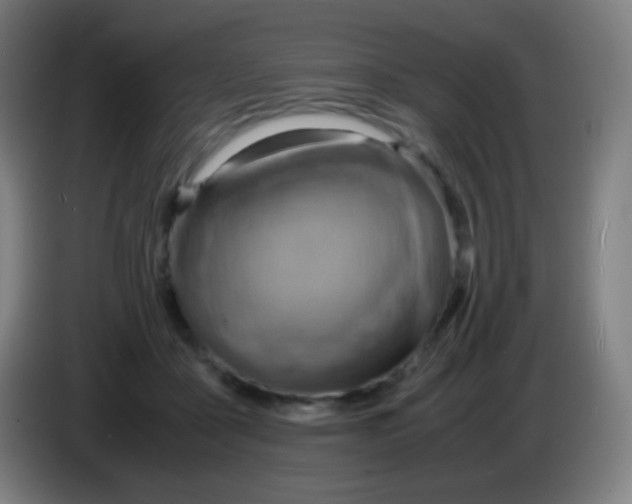 X0000085290411200703301942