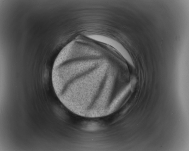 X0000085290412200703301942