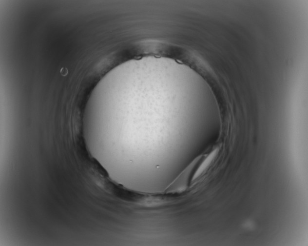 X0000085290413200703301942