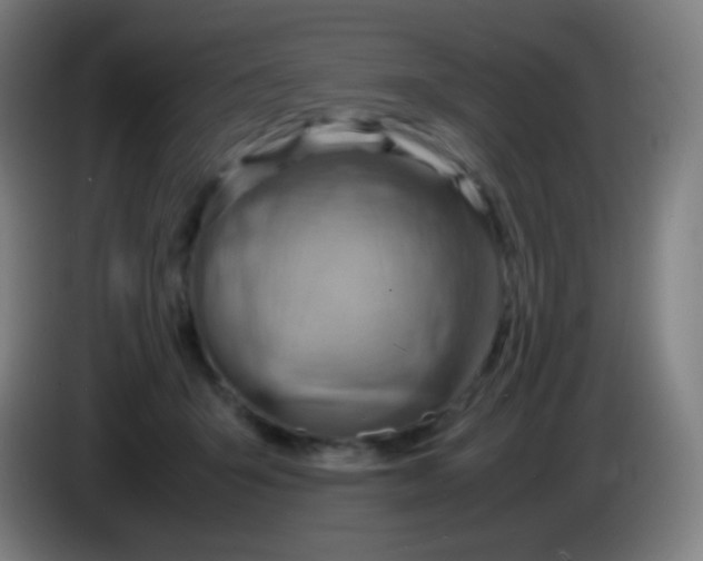 X0000085290415200703301942