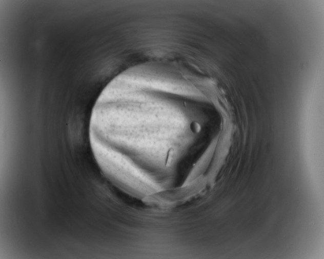 X0000085290416200703301942