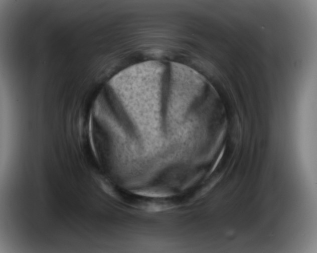 X0000085290420200703301942
