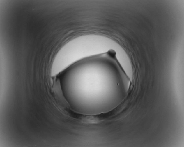 X0000085290421200703301942