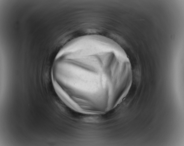 X0000085290422200703301942