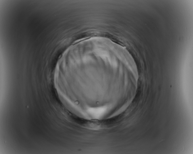 X0000085290423200703301942