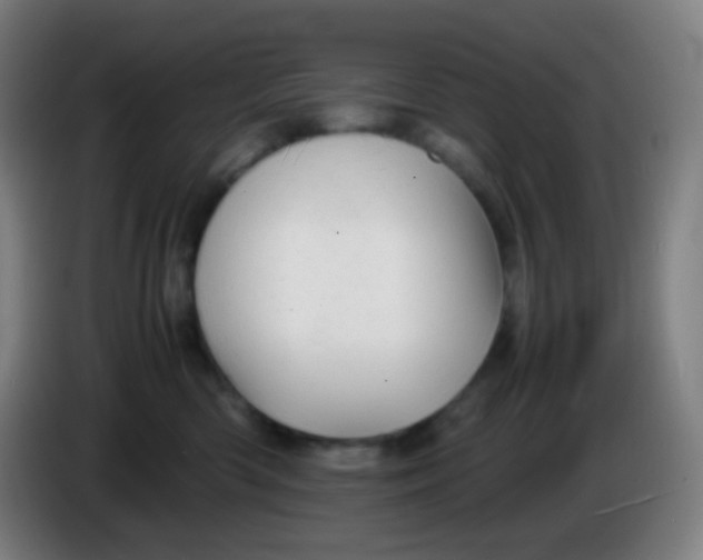 X0000085290426200703301942