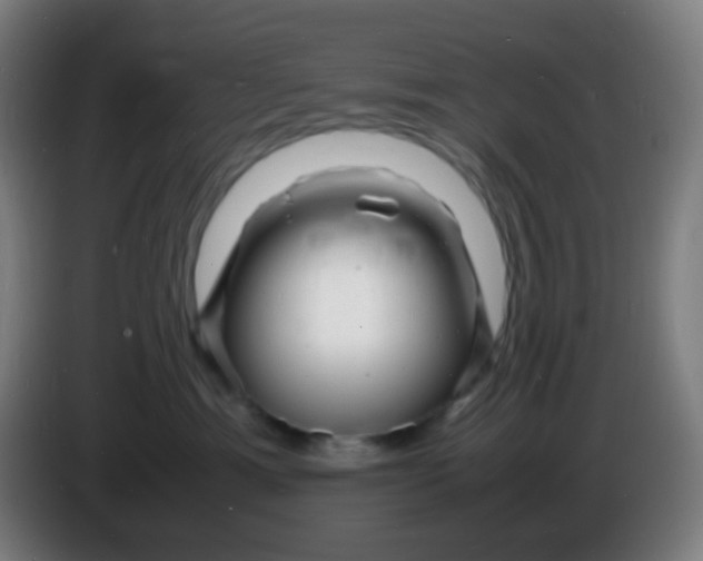 X0000085290429200703301942
