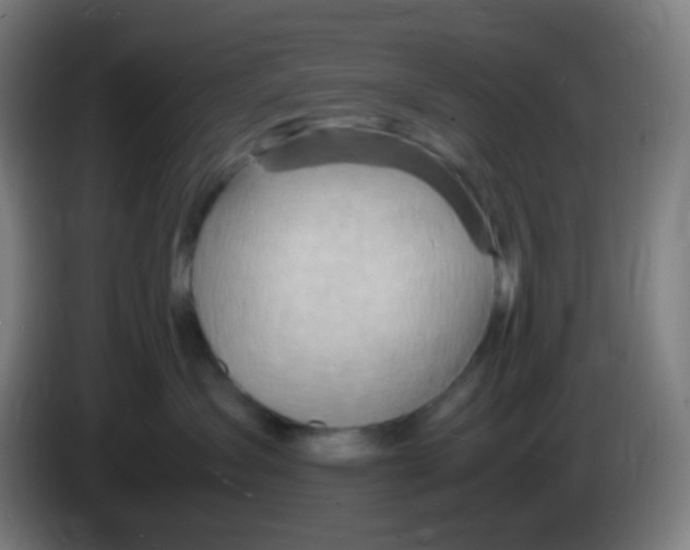 X0000085290431200703301942