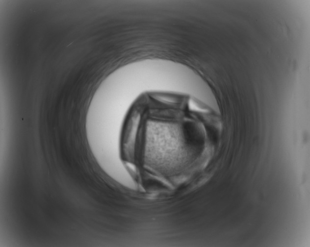 X0000085290432200703301942