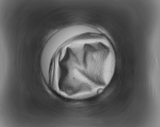X0000085290433200703301941