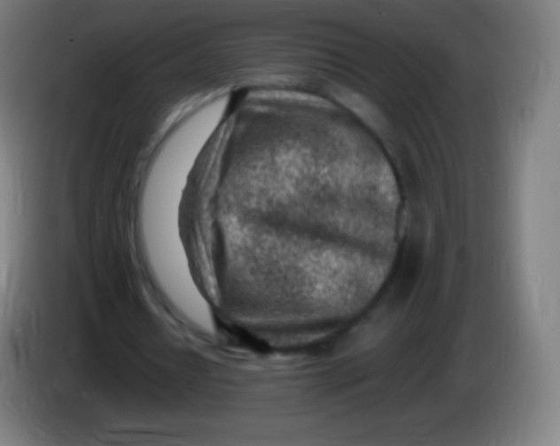 X0000085290434200703301941