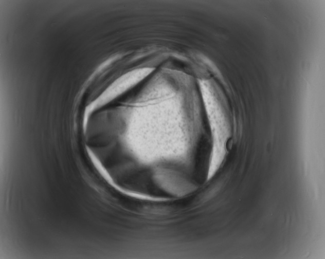 X0000085290435200703301941