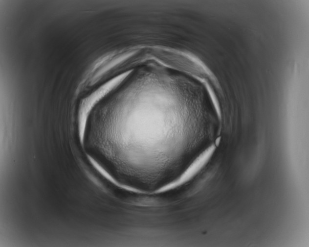 X0000085290437200703301941