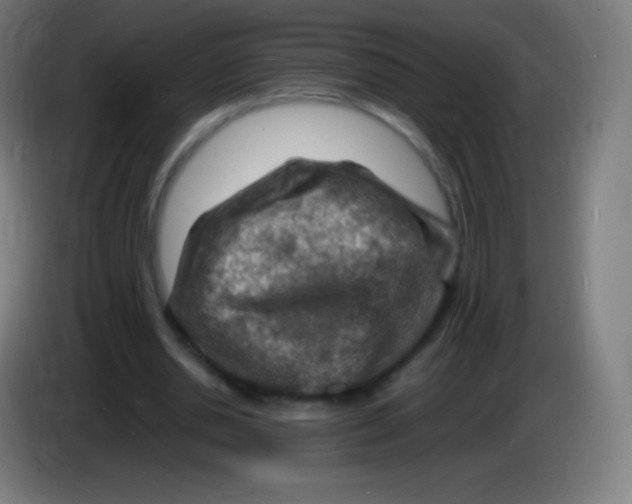 X0000085290438200703301941