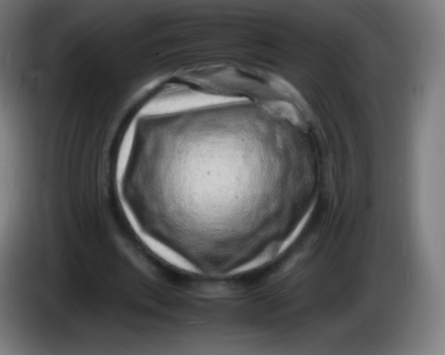 X0000085290439200703301941