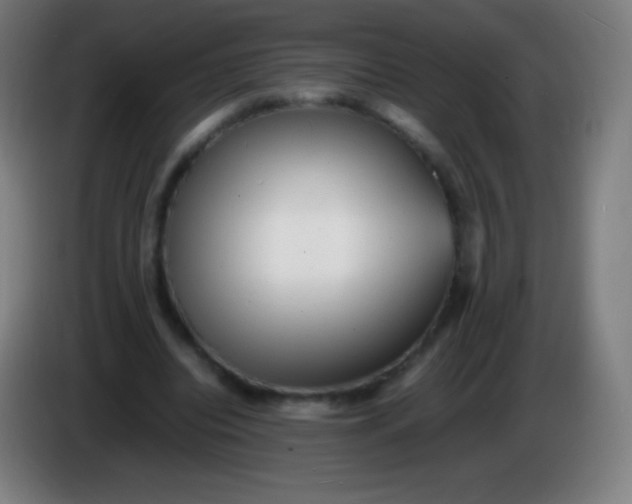 X0000085290440200703301941