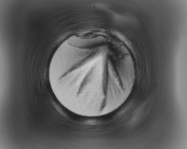 X0000085290441200703301941